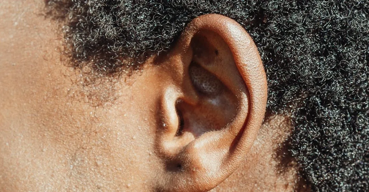 Unveiling the 3M Earplug Lawsuit